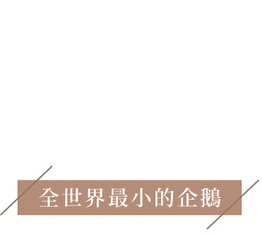 藍眼企鵝保育區