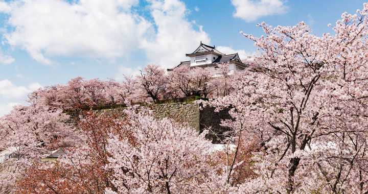 (H6雅7) 山陰山陽／古城．神社．海岸與溫泉(賞櫻)７日