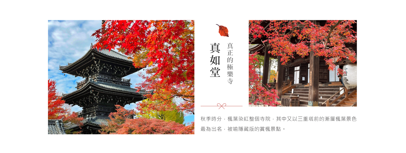 真如堂_秋.jpg